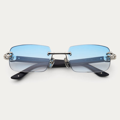 BLUE TINT SILVER HYDRA