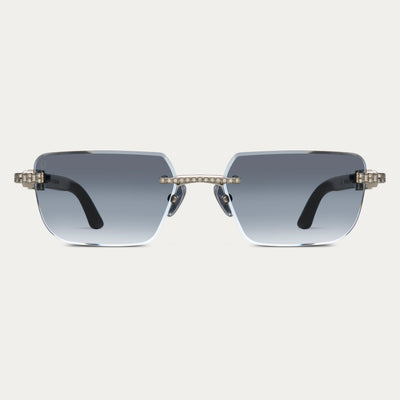 BLACK TINT SILVER BANKROLLER