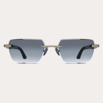 BLACK TINT SILVER BANKROLLER