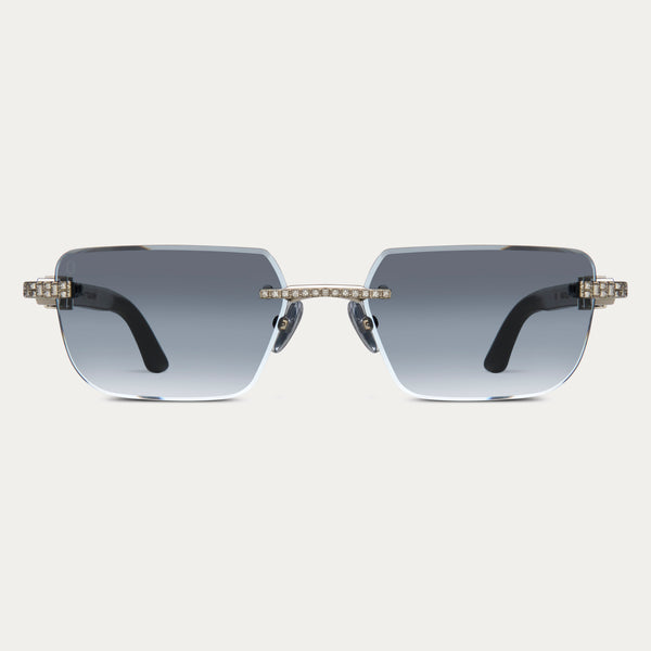 BLACK TINT SILVER BANKROLLER