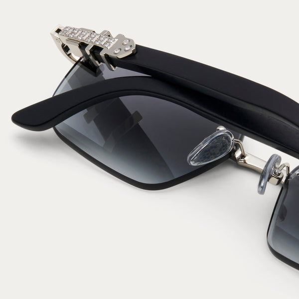 BLACK TINT SILVER BANKROLLER