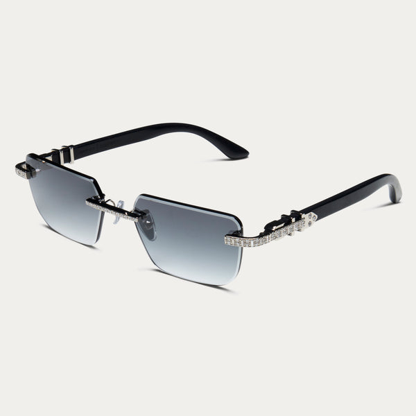 BLACK TINT SILVER BANKROLLER